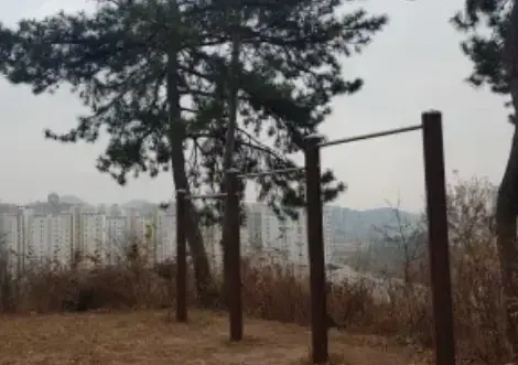 상세