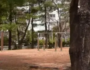 상세