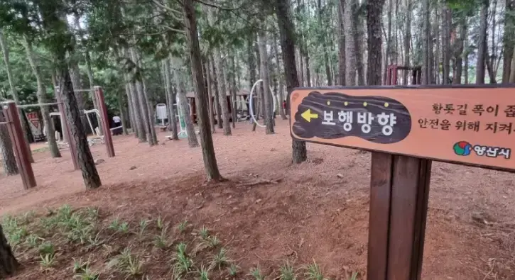 상세