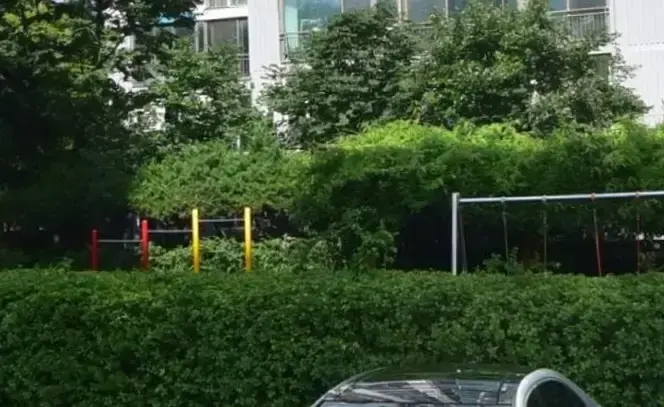 상세