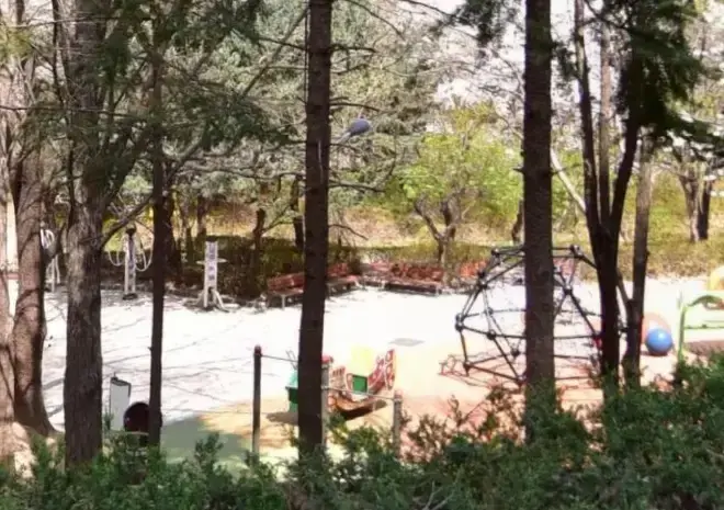 상세