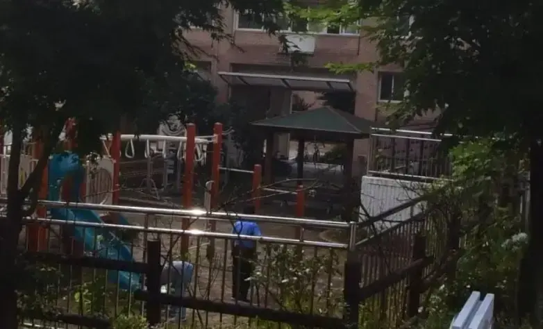 상세