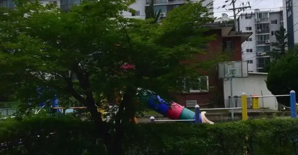 상세