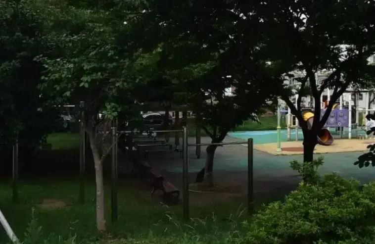 상세