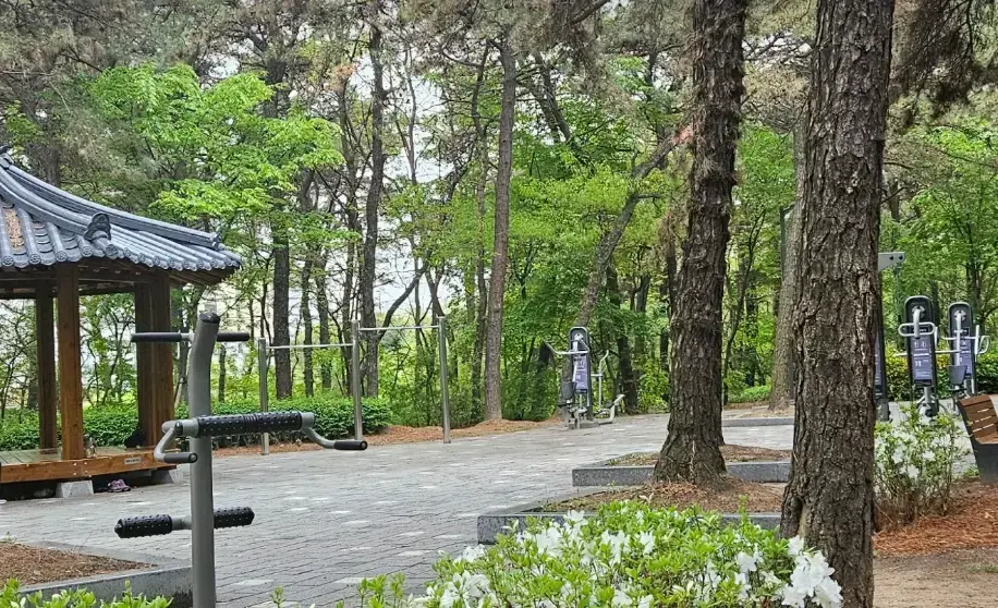 상세
