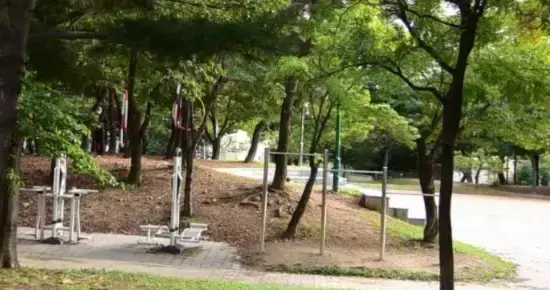 상세