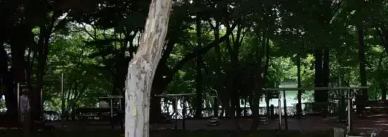 상세