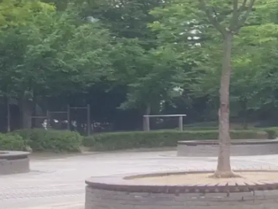 상세