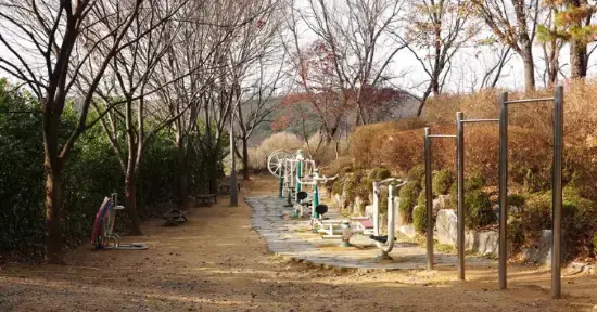 상세