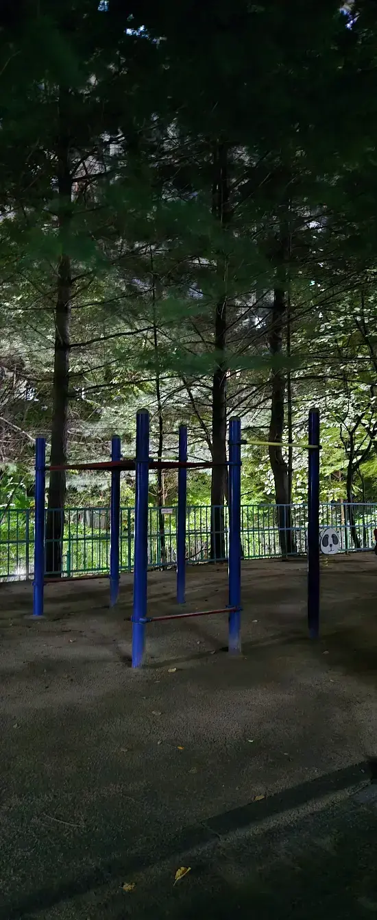 상세