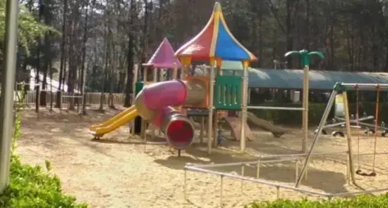 상세