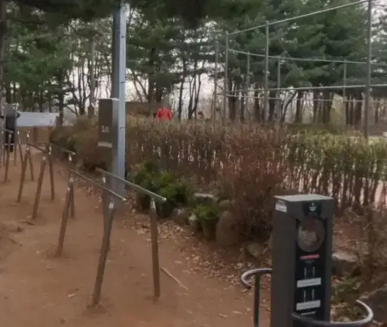 상세