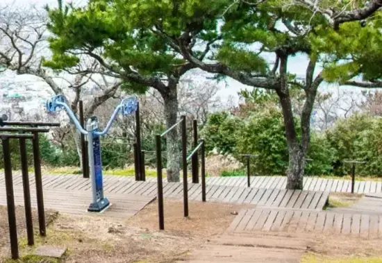 상세
