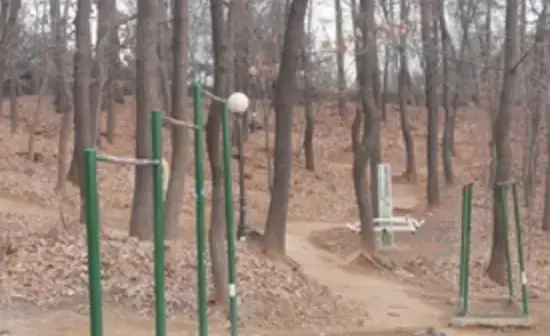 상세