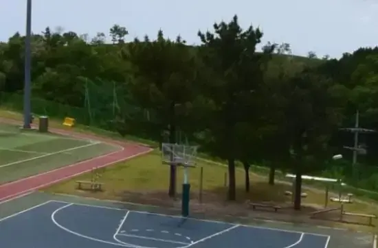 상세