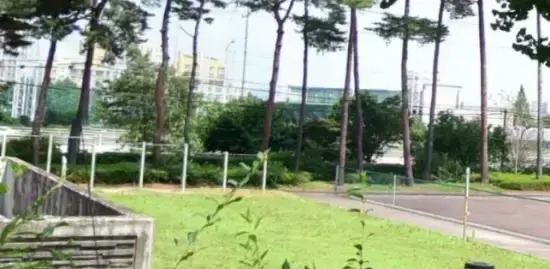 상세