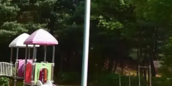 상세