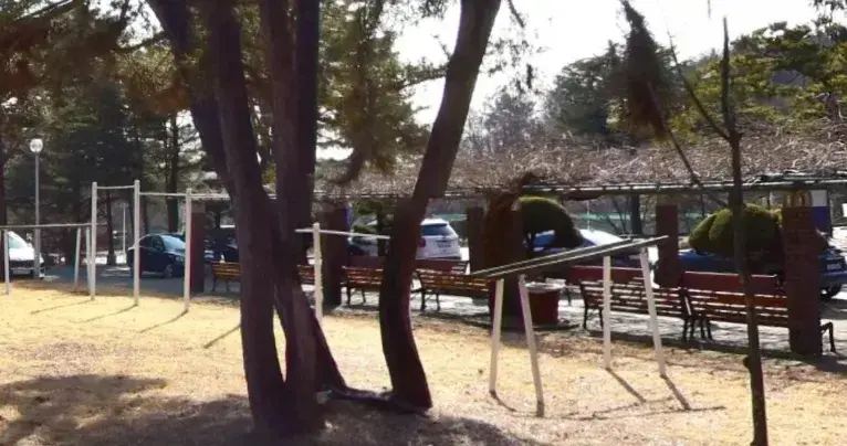 상세