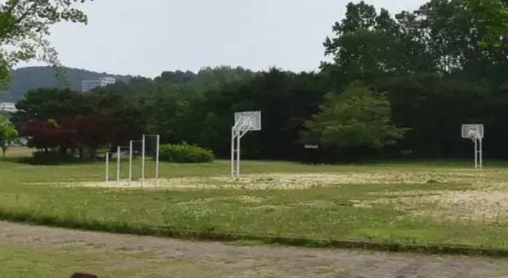 상세