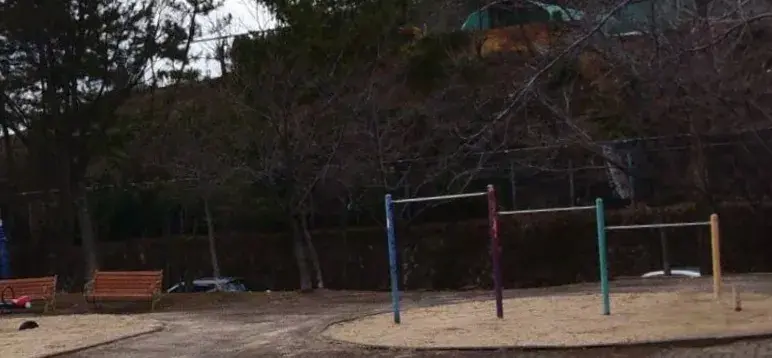 상세