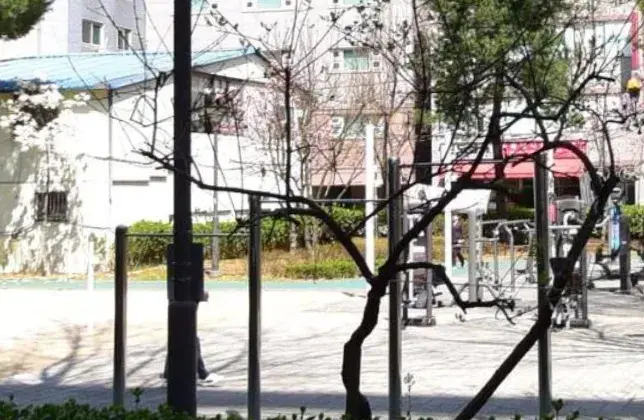 상세