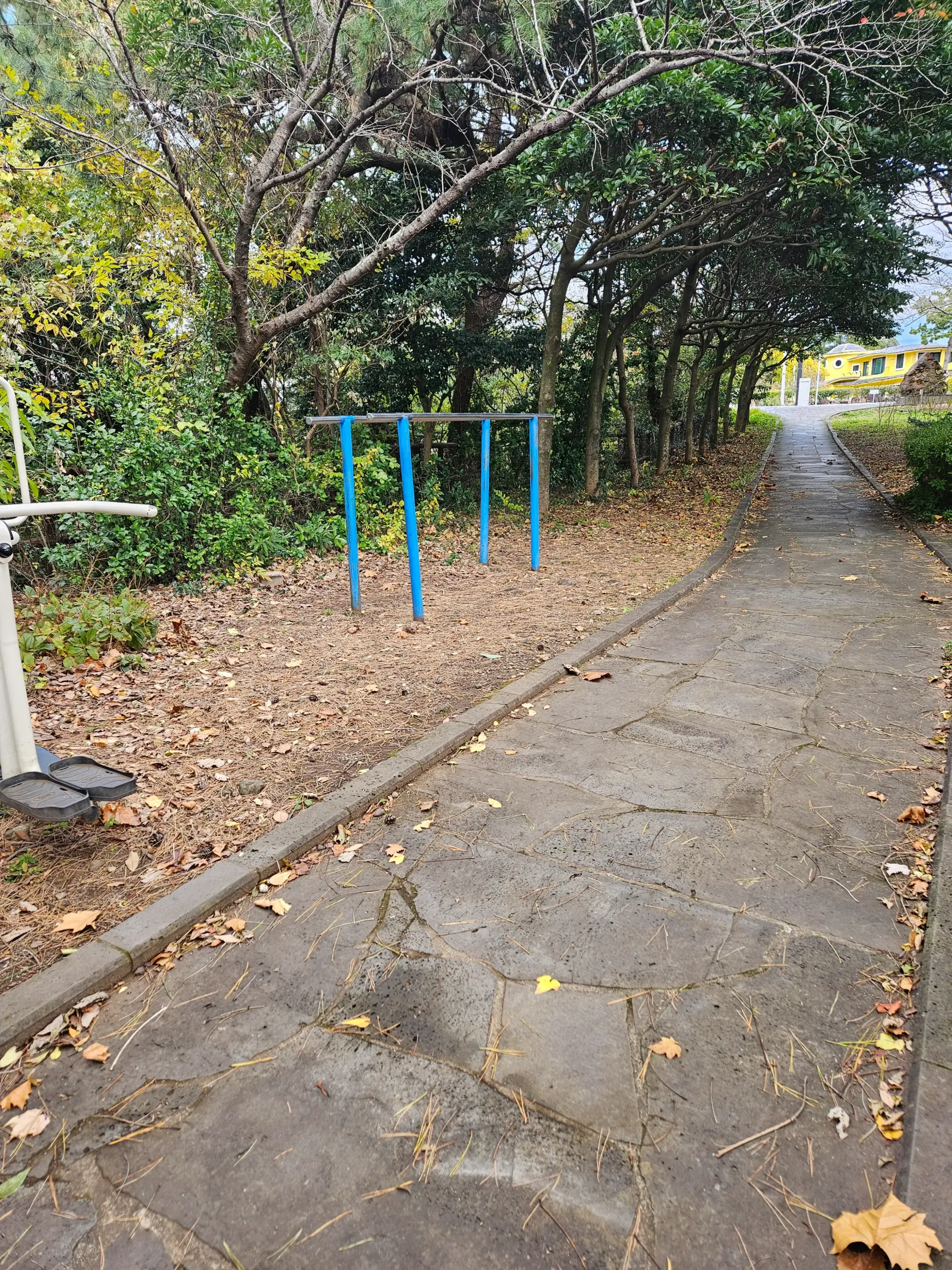 상세