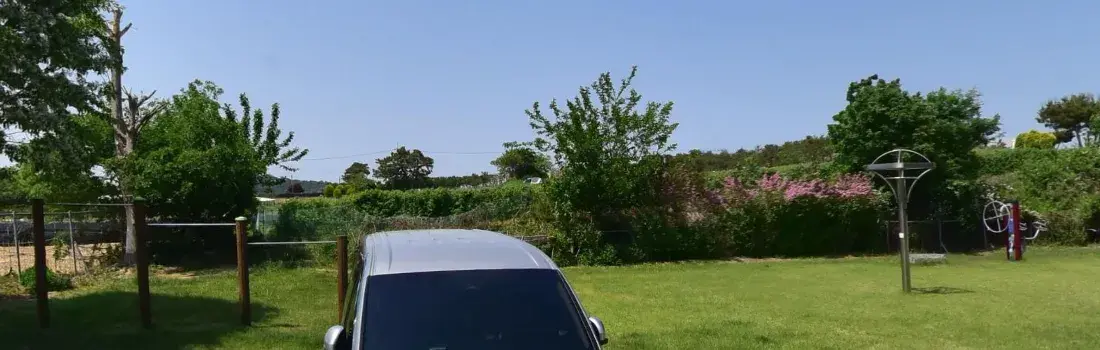 상세
