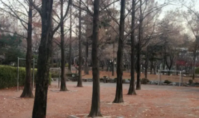 상세
