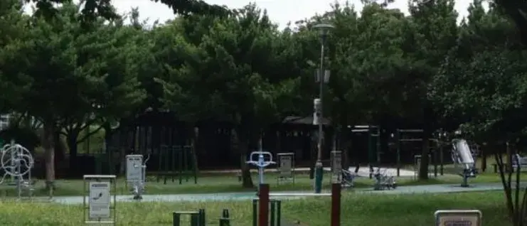 상세