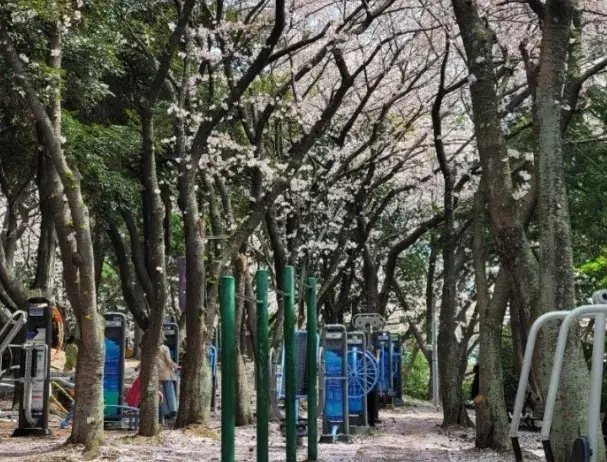 상세