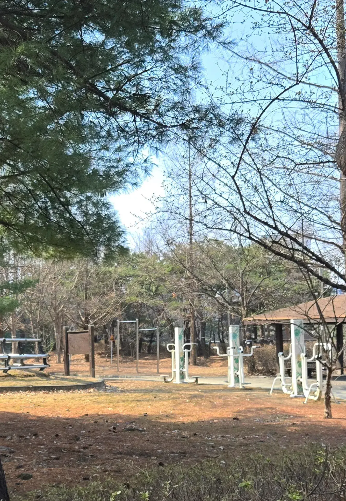 상세