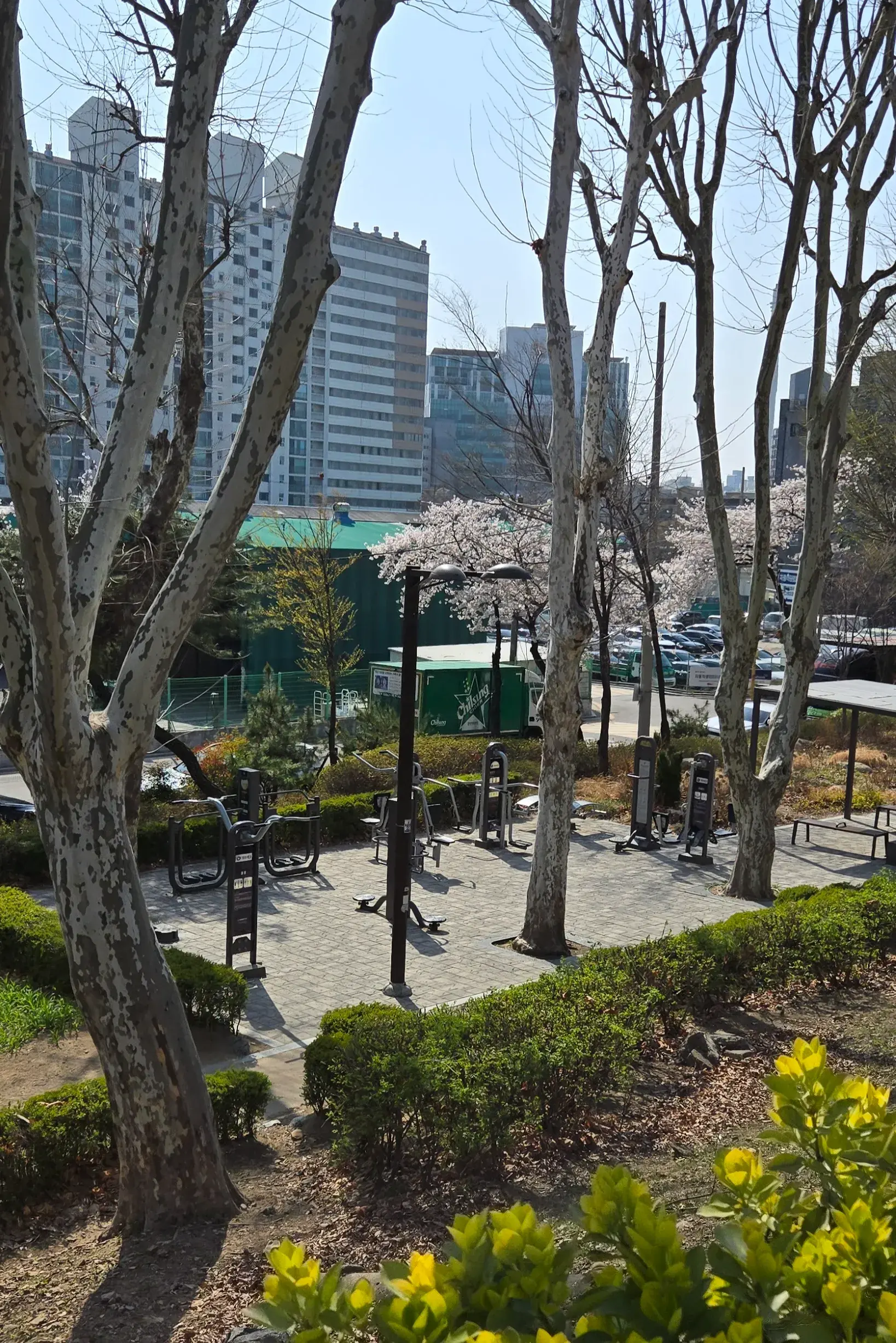 상세