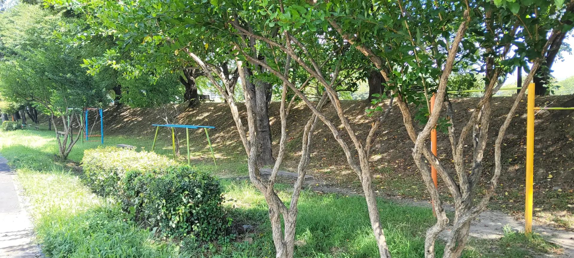 상세
