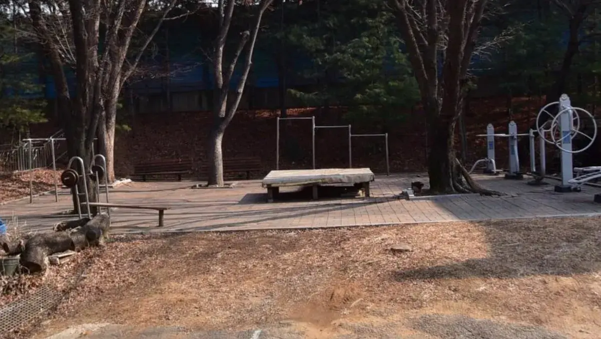 상세