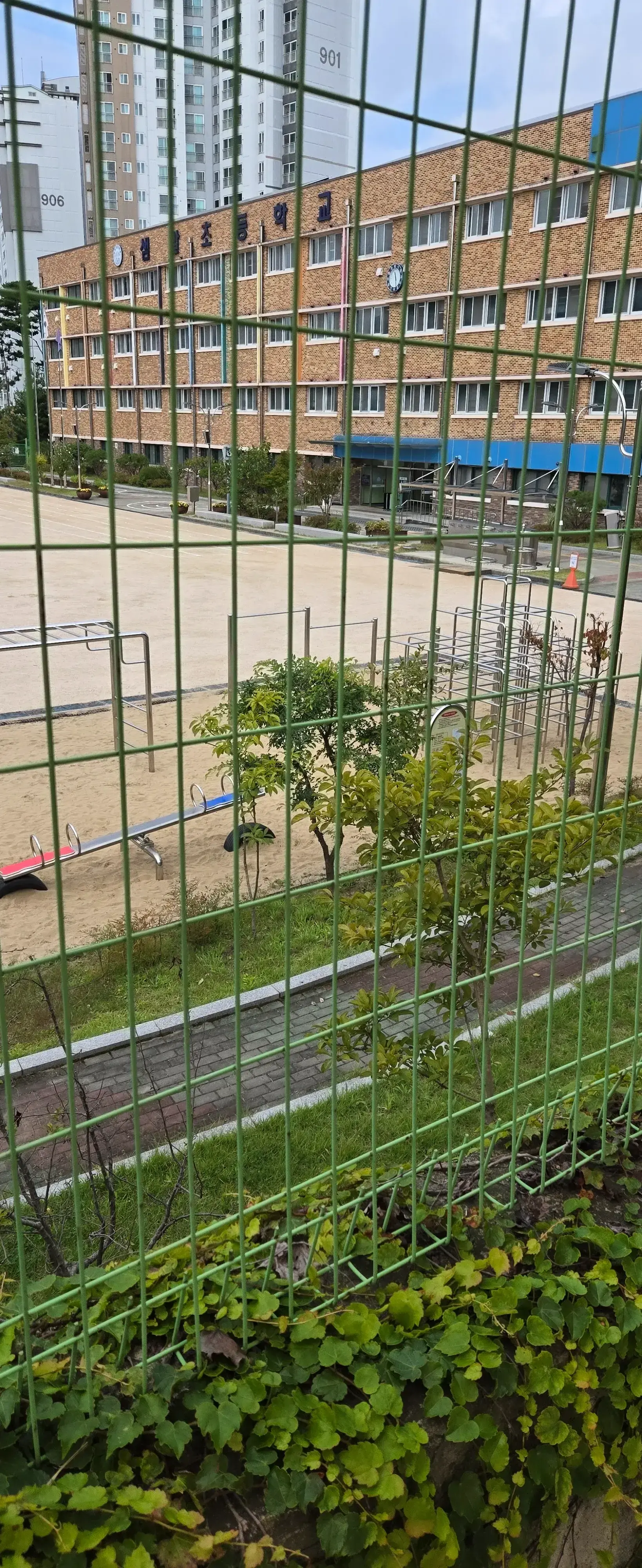 상세
