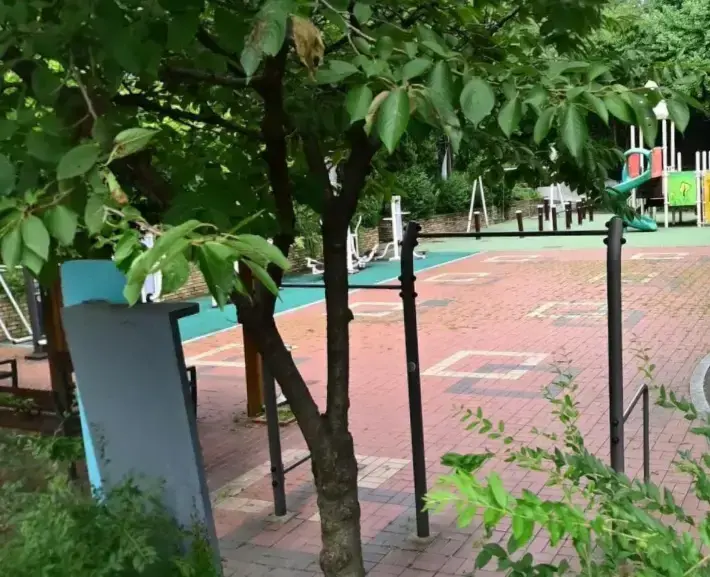 상세