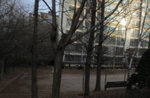 상세