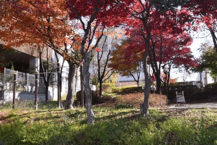 상세