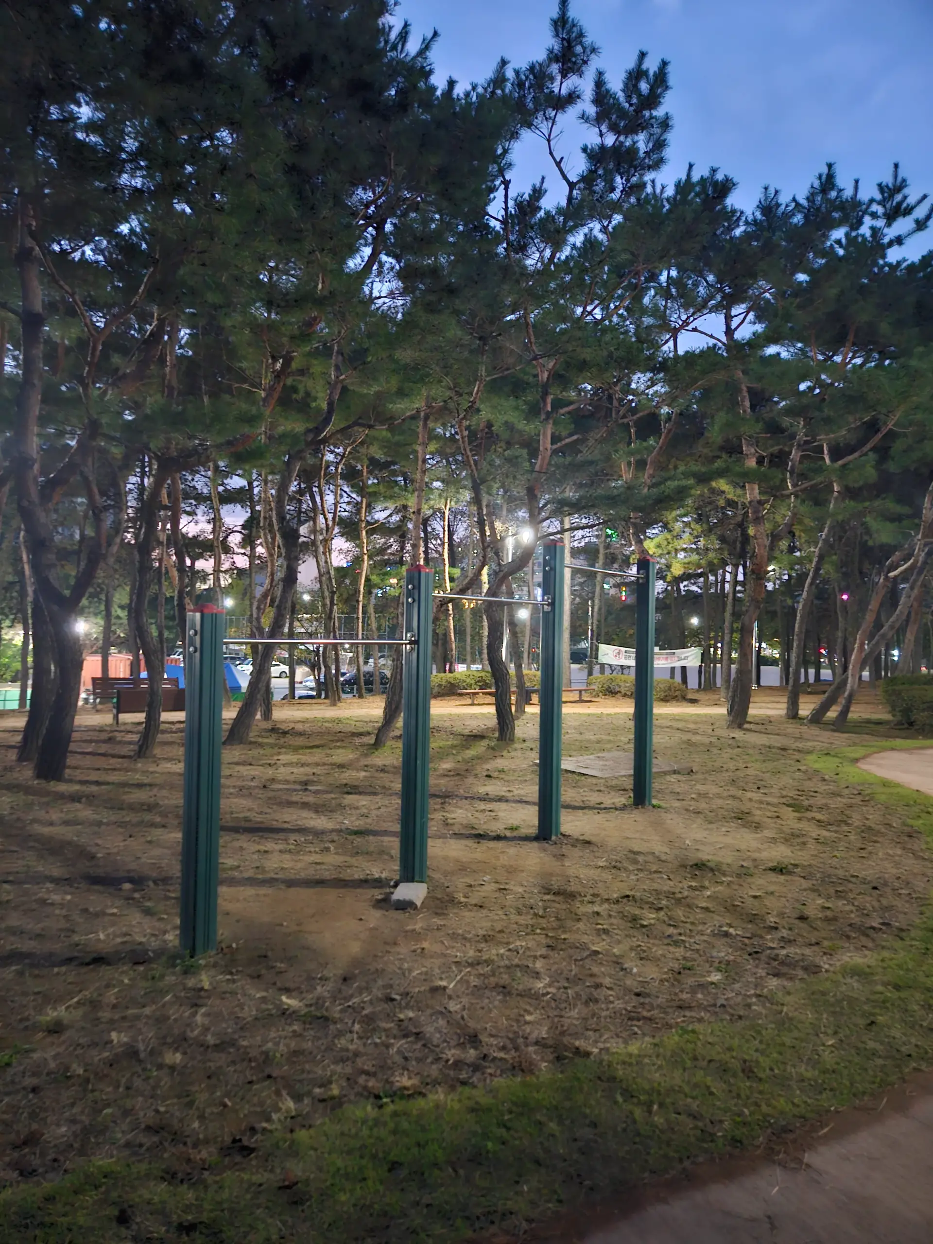 상세