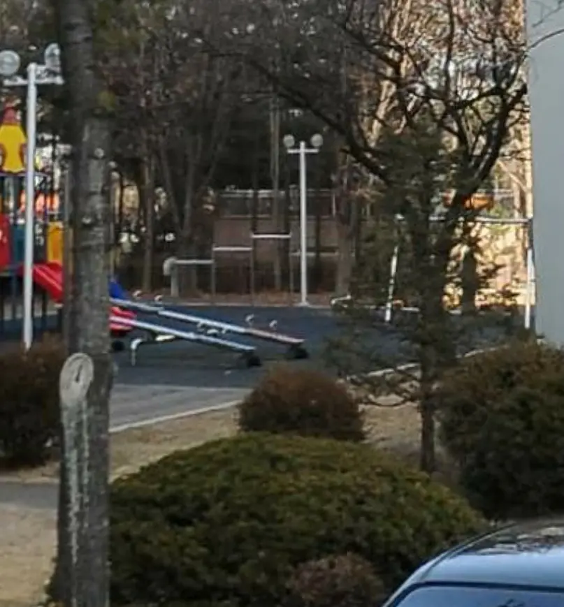 상세