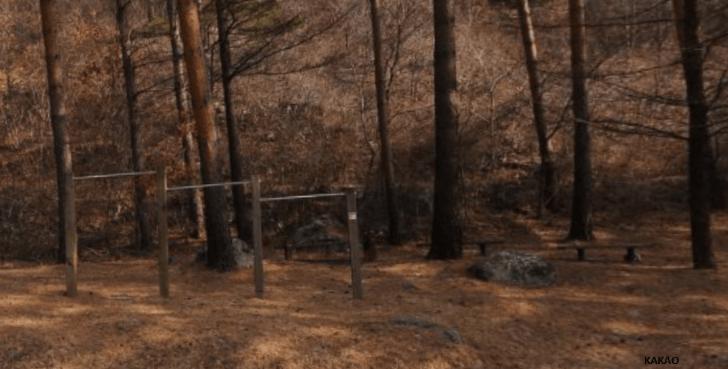 상세