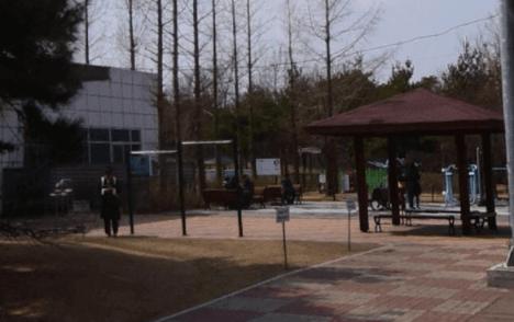 상세